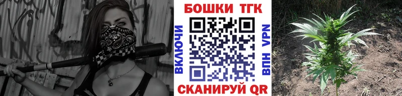 Каннабис гибрид Будённовск